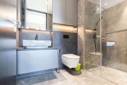 Irwell Hill Residences (D9), Apartment #599455651